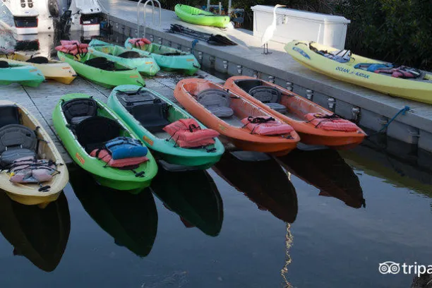 kayaks in a body of water