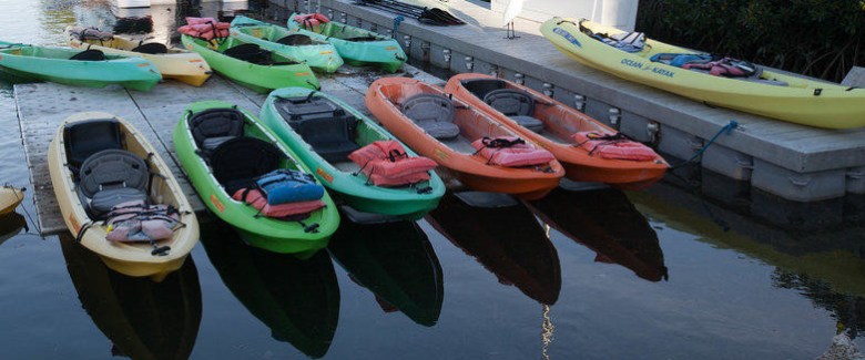 kayaks in a body of water