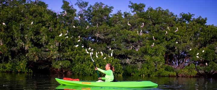 a man rowing a boat in the water
